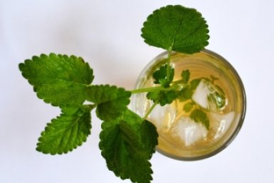 Тематическое фото Разработано с помощью pxhere.com