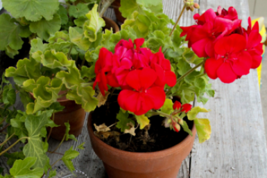 Тематическое фото pxhere.com (18+).