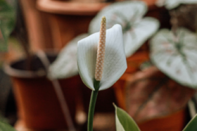 Тематическое фото unsplash.com (18+)