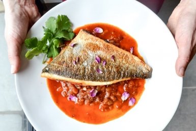 Тематическое фото Разработано с помощью unsplash.com