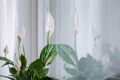 Тематическое фото unsplash.com