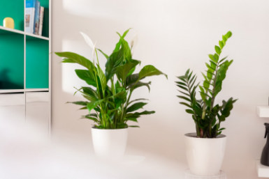 Тематическое фото unsplash.com (18+)