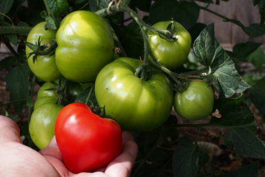 Тематическое фото pxhere.com (18+).