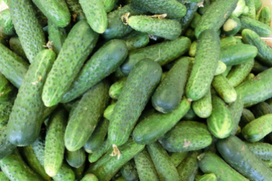 Тематическое фото pxhere.com (18+).