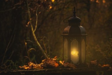 Тематическое фото https://unsplash.com/