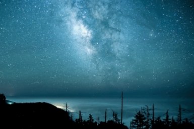 Тематическое фото pxhere.com (18+)