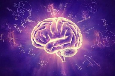 Уровень IQ зашкаливает, если вы набрали 8/8 в этом тесте на общие знания — проверьте себя