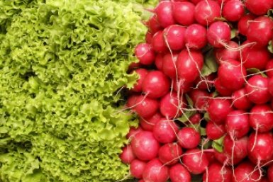 Тематическое фото pxhere.com (18+)