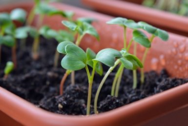 Тематическое фото pxhere.com (18+)