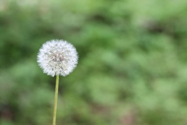 Тематическое фото pxhere.com (18+)