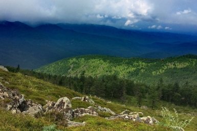 Гостей Дальневосточного МедиаСаммита в ЕАО ждет экскурсия в заповеднике "Бастак"