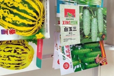 Не сажайте это на грядке: на маркетплейсах продают семена, которые не взойдут