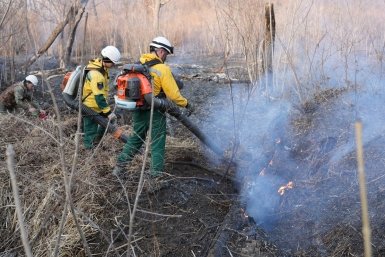 Более 2,7 тысячи га прошёл огонь в Приморье за минувшие выходные пресс-служба Министерства лесного хозяйства, охраны окружающей среды, животного мира и природных ресурсов Приморья