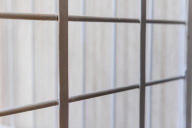 Тематическое фото ИА PrimaMedia