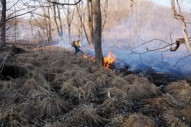 Площадь пожаров в Приморье превысила 370 гектаров за один день пресс-служба Министерства лесного хозяйства, охраны окружающей среды, животного мира и природных ресурсов Приморья