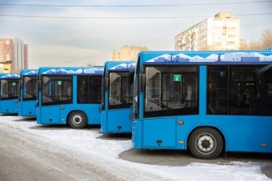 Дополнительный автобусный маршрут запустят в поминальные дни во Владивостоке пресс-служба администрации Владивостока