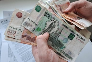 Эксперт объяснил, как будут взыскивать долги за ЖКХ через интернет Долгополова Ольга, ИА UssurMedia.ru