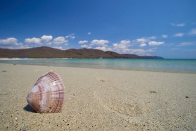 Абхазия заняла первое место по бюджетности Дмитрий Осипчук, ИА PrimaMedia.ru