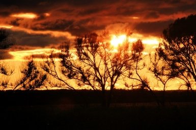 Эколог Пукалов предупредил о катастрофах из-за резкого потепления климата в РФ Антон Балашов