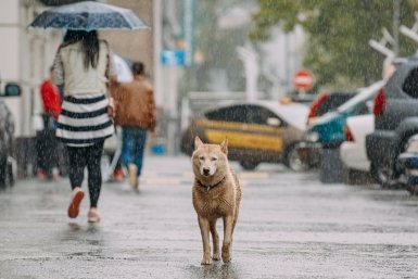 Тематическое фото ИА PrimaMedia