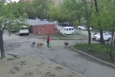 Скриншот видео Пресс-служба МВД Владивостока