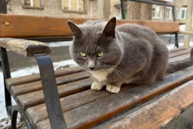 Тематическое фото ИА PrimaMedia