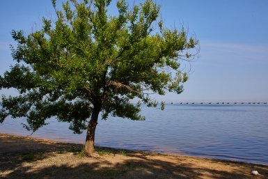В этом году я решил сбежать от липкой духоты сочинских пляжей и ценников Дмитрий Осипчук, ИА PrimaMedia.ru