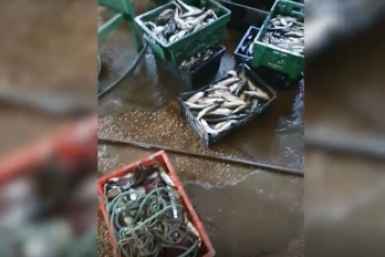Кадр из видео Прокуратура Севастополя
