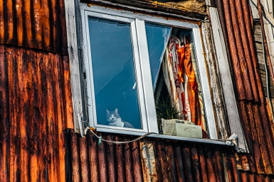 Окно Мария Смитюк, ИА PrimaMedia