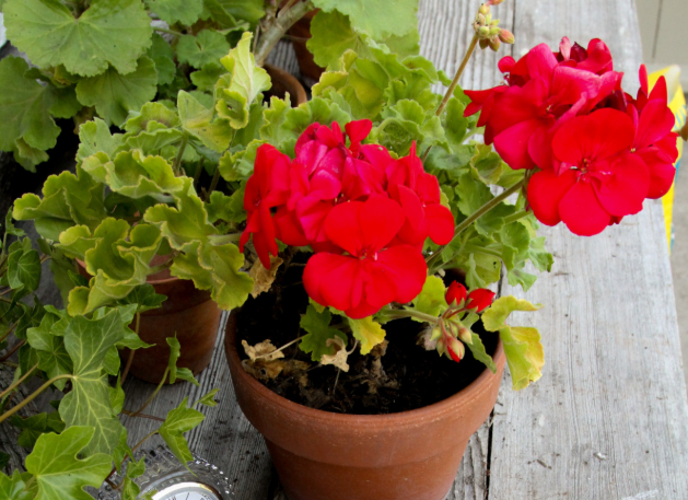 Тематическое фото pxhere.com (18+).