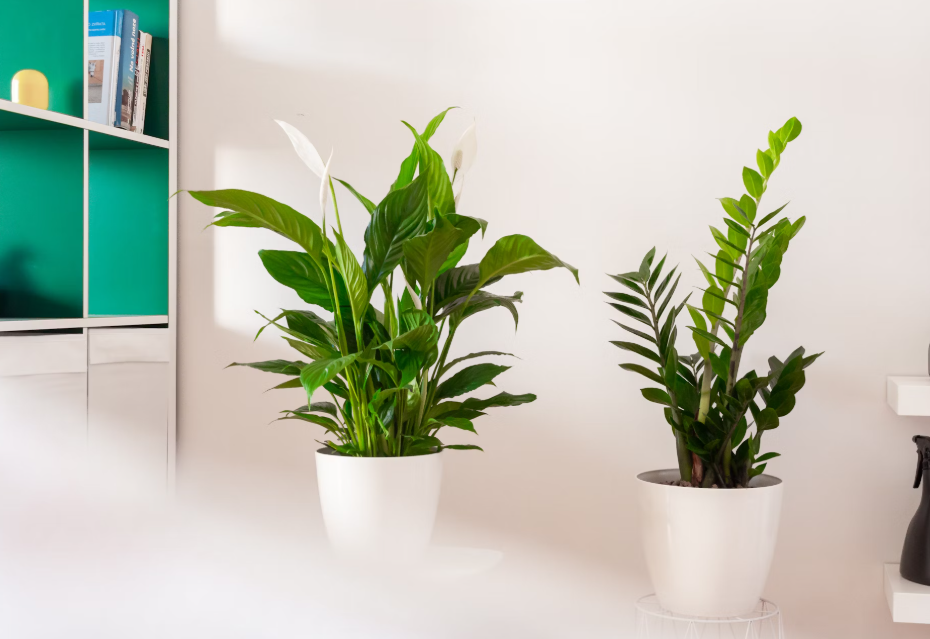 Тематическое фото unsplash.com (18+)