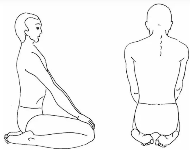 Автор Дзен-блога 