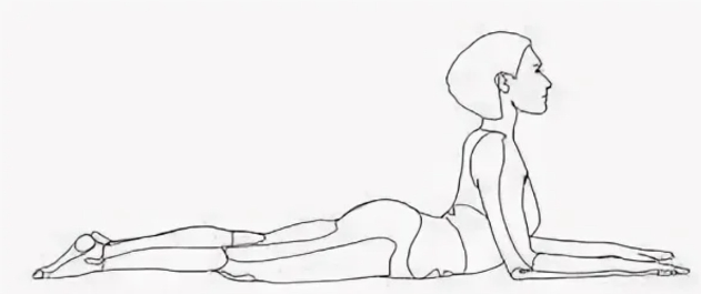 Автор Дзен-блога 