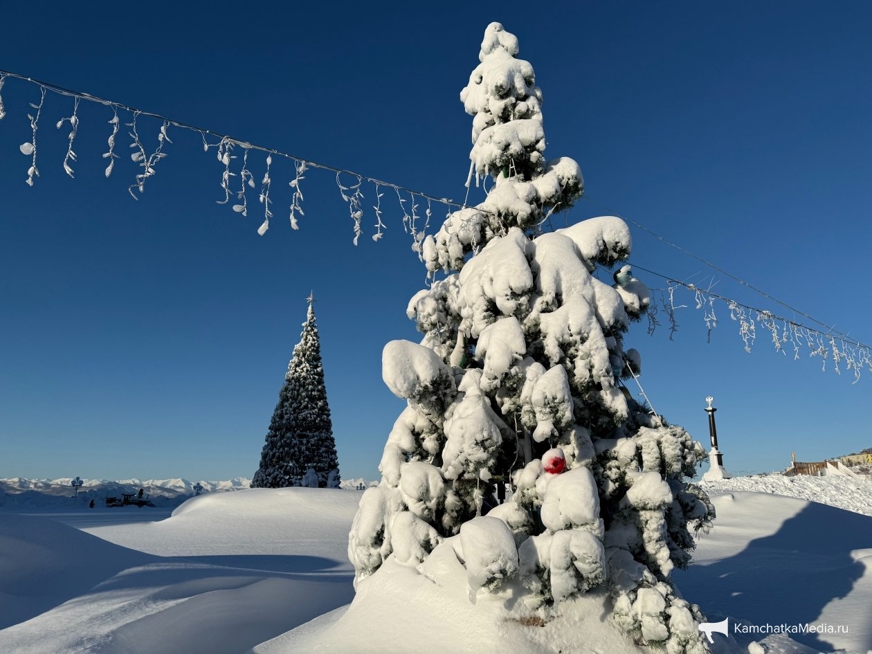 Ольга Семёнова, ИА KamchatkaMedia