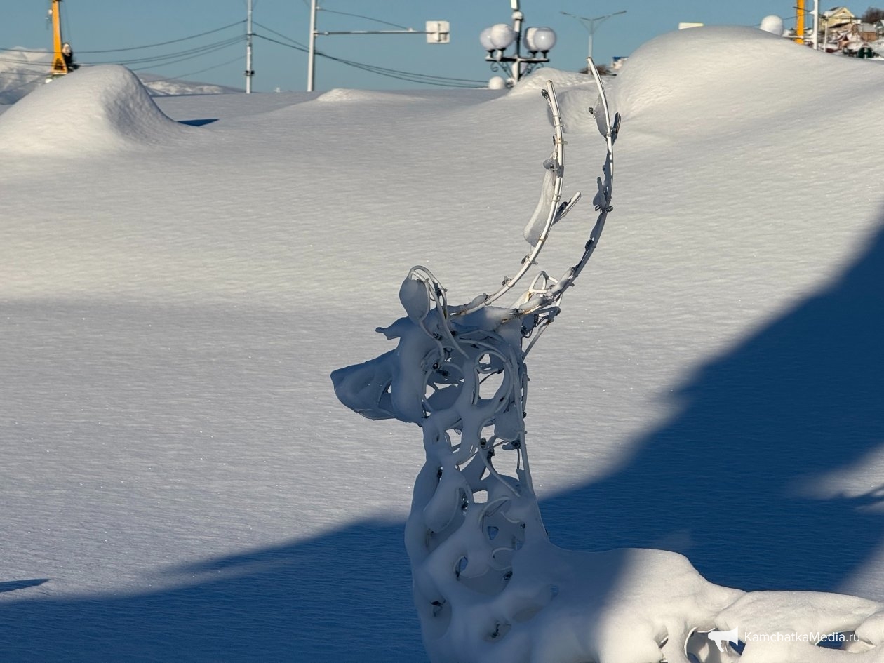 Ольга Семёнова, ИА KamchatkaMedia