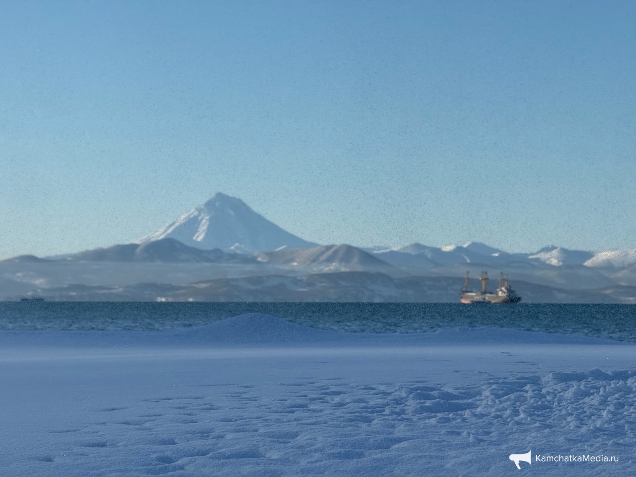Ольга Семёнова, ИА KamchatkaMedia
