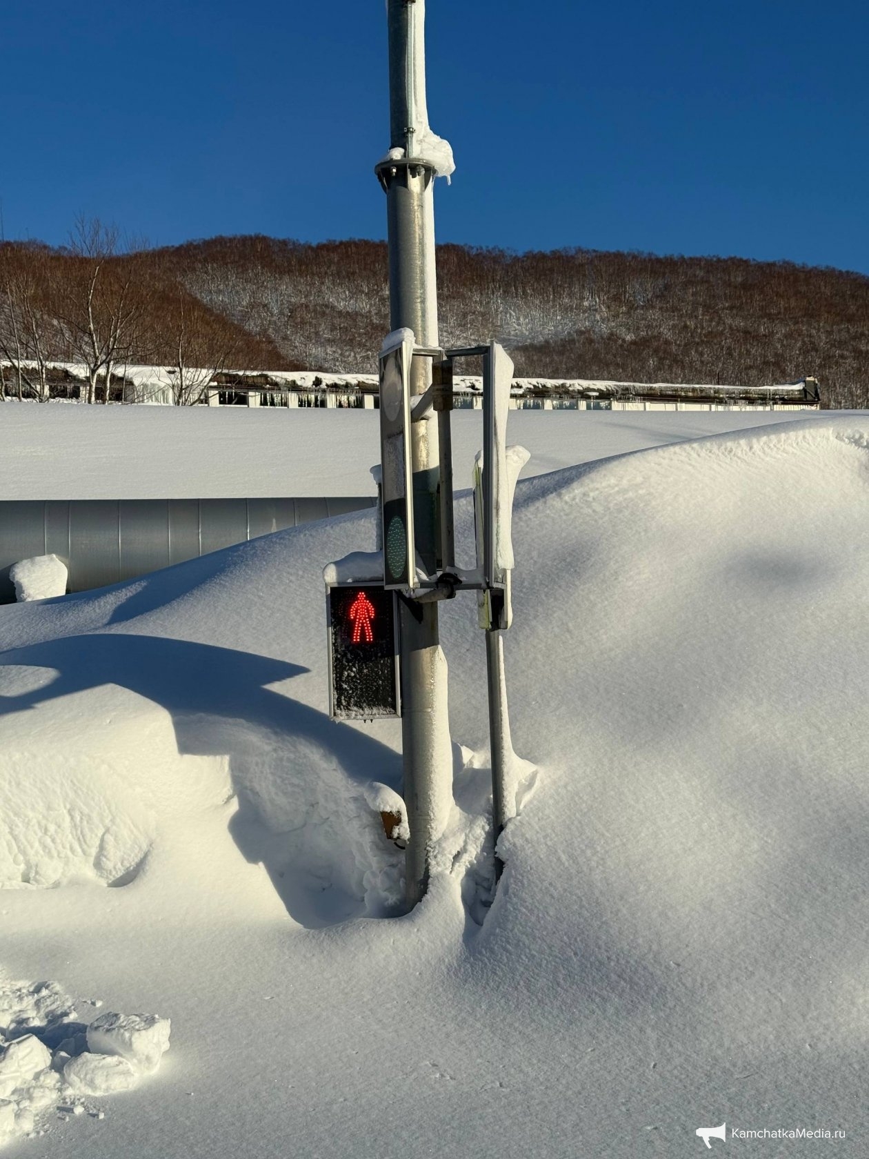 Ольга Семёнова, ИА KamchatkaMedia
