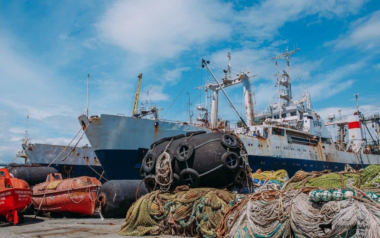 Мария Смитюк, ИА PrimaMedia