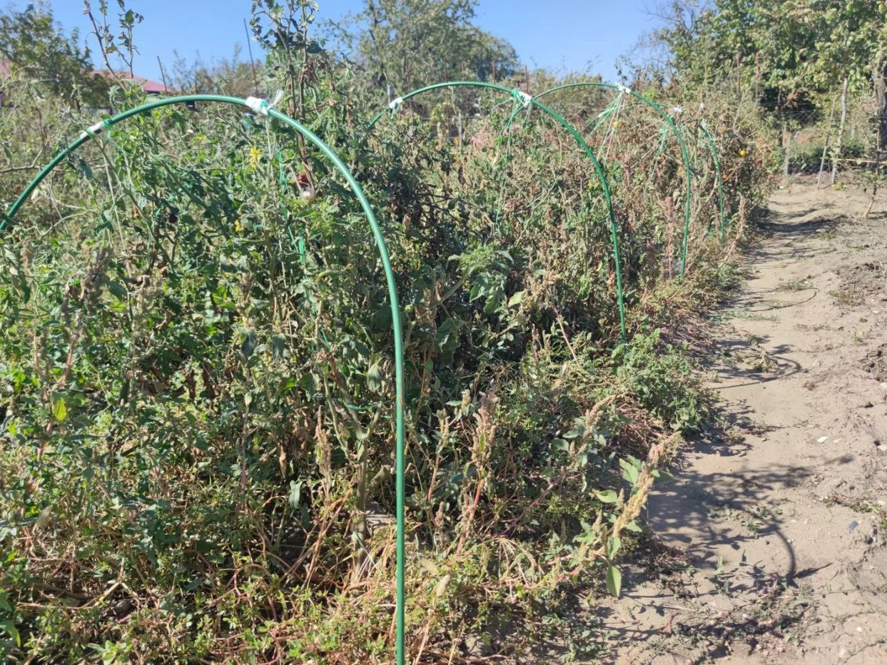 Тематическое фото ИА PrimaMedia