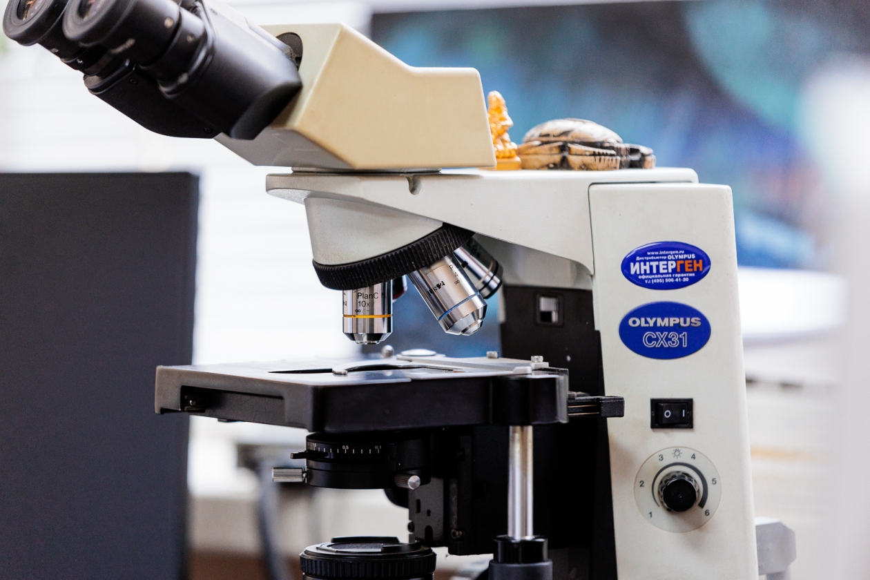 Медицина, тематическое фото Евгений Кулешов, ИА PrimaMedia