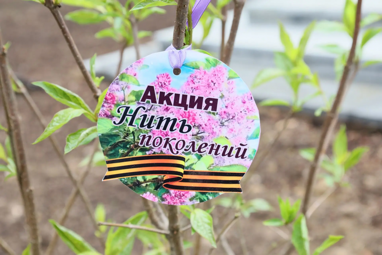 Тематическое фото мэрия Биробиджана