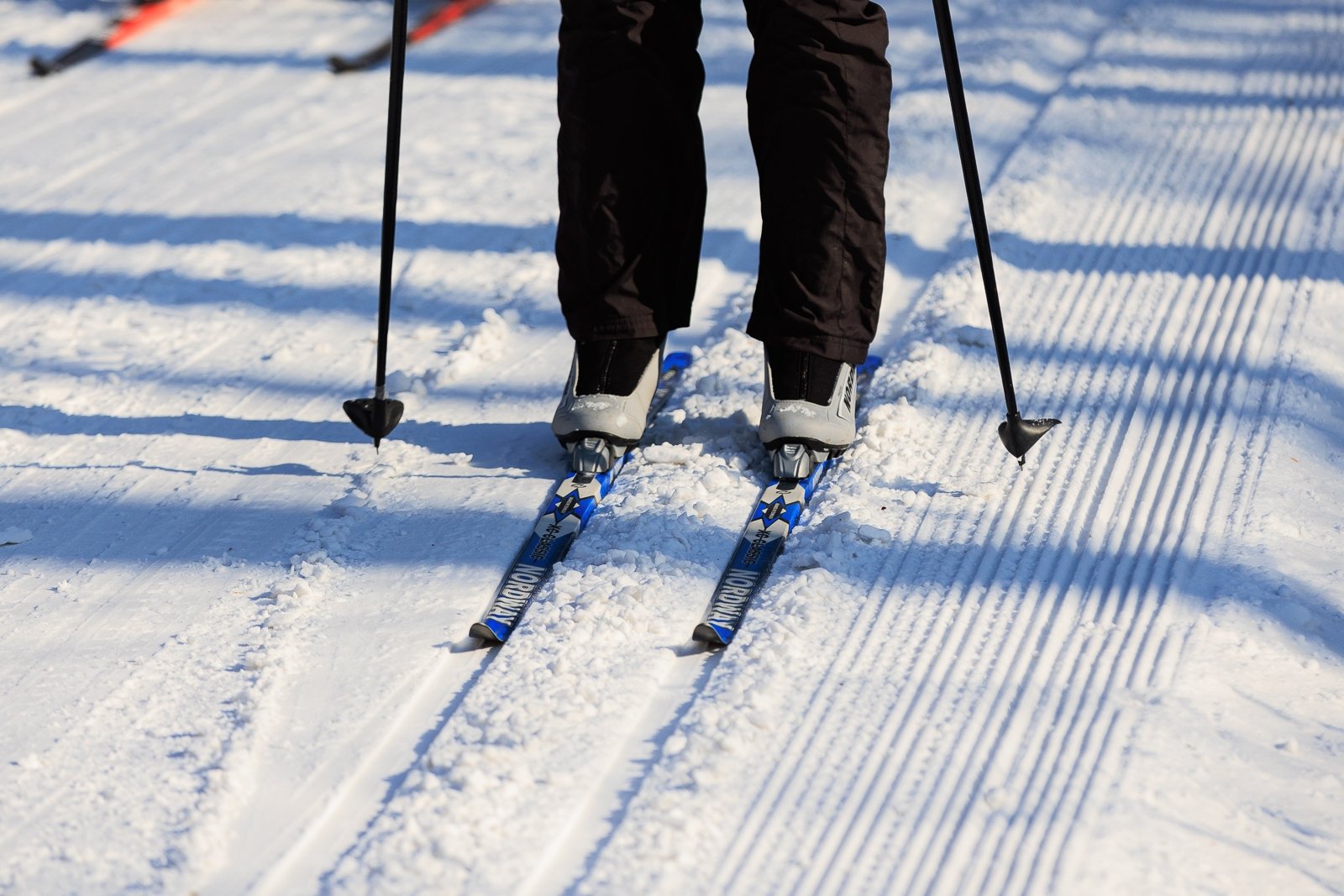 Россияне чаще открывают для себя новые виды спорта и активно страхуются на случай травм Евгений  Кулешов, ИА PrimaMedia.ru