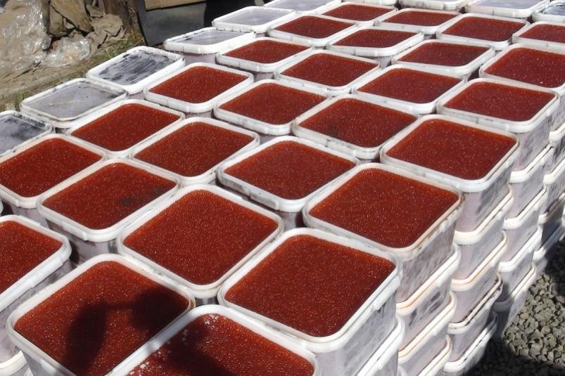 Тематическое фото 